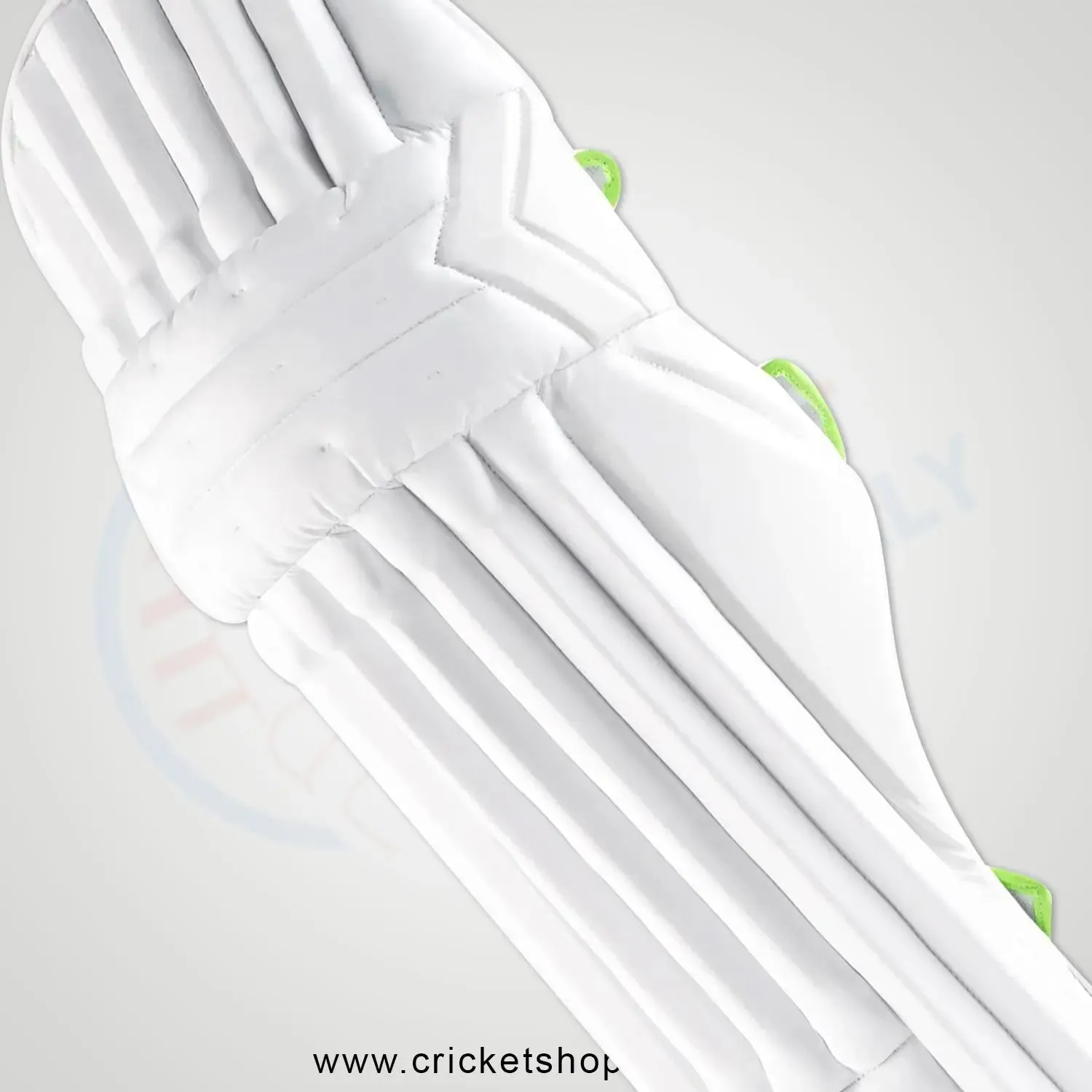Gray Nicolls Tempesta Cricket Batting Pads